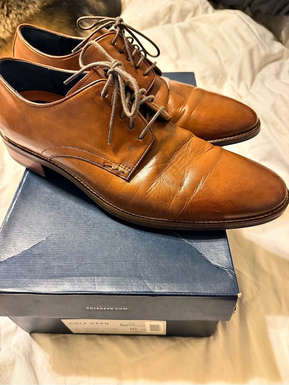 Cole Haan Lenox Hill Cap Toe Oxfords Brown US 10 M